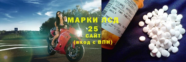 прущие грибы Лихославль