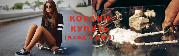 прущие грибы Лихославль