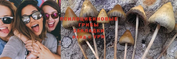 ешки Барнаул
