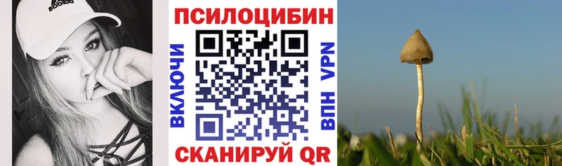 Псилоцибиновые грибы Psilocybe  Купить где  Олонец 